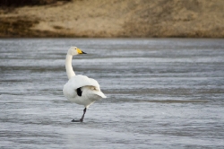 5 april. Morgonstretching